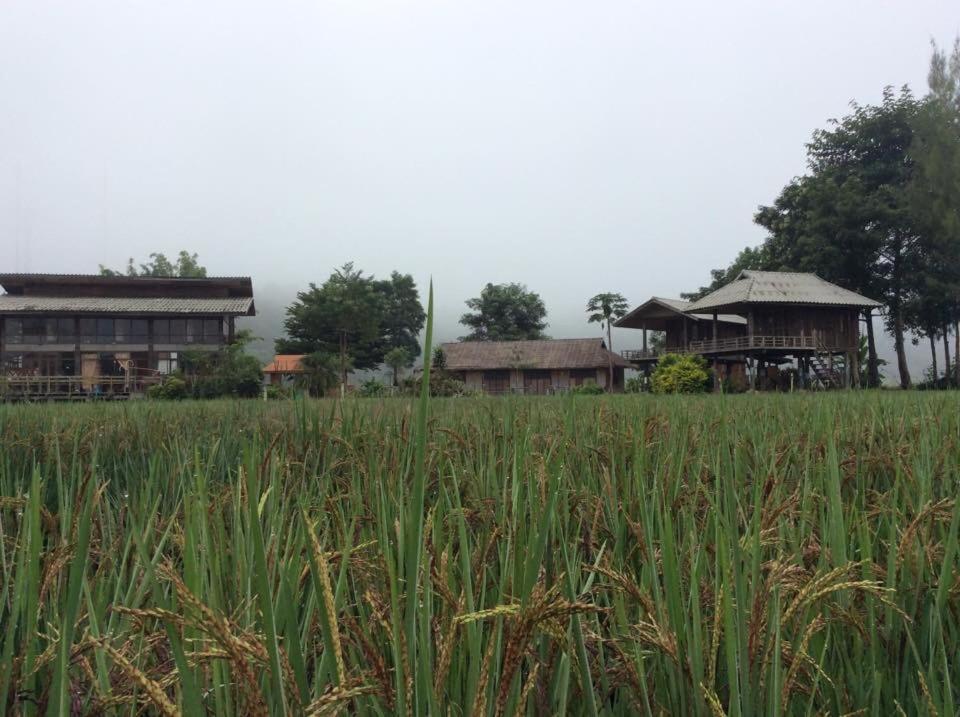 Mazipai Camping Villa Exterior photo